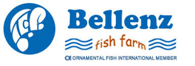 Bellenz Fish Farm
